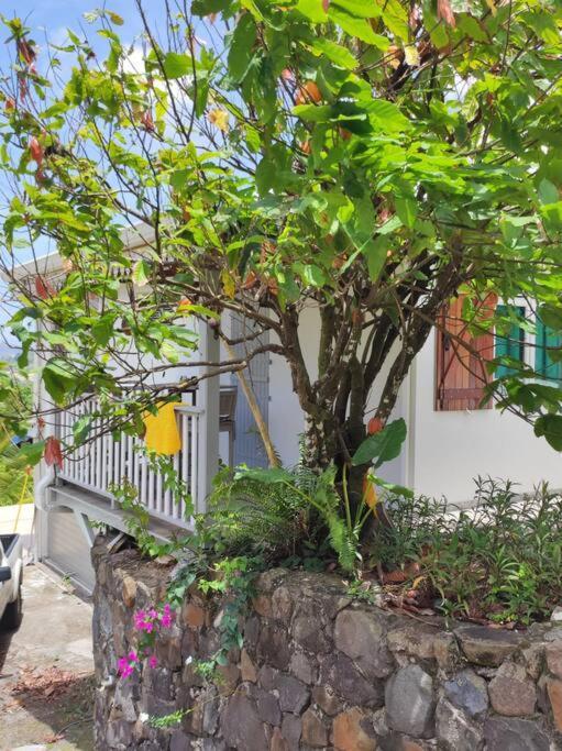 Apartmán Le Cacaoyer La Trinité Exteriér fotografie